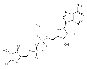 Adenosine 5′-diphosphoribose sodium 68414-18-6